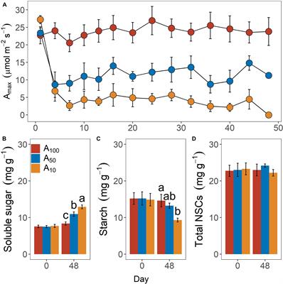 Antecedent Drought Condition Affects Responses of Plant Physiology and Growth to Drought and Post-drought Recovery